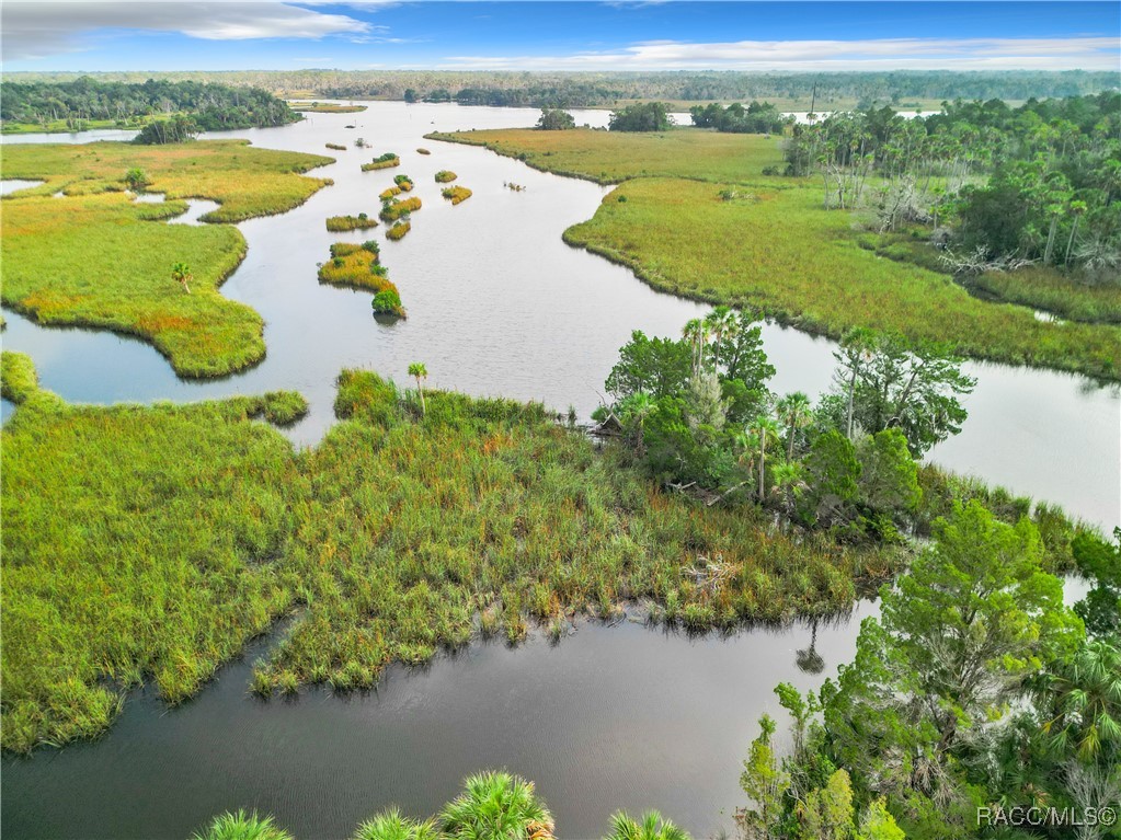 2695 N Seabreeze Point, Crystal River, Florida image 34