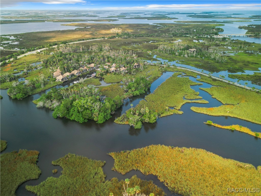 2695 N Seabreeze Point, Crystal River, Florida image 30