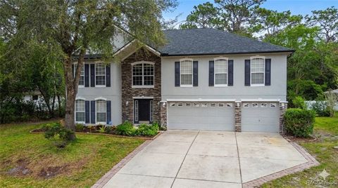 5 Mastic Court W Homosassa FL 34446