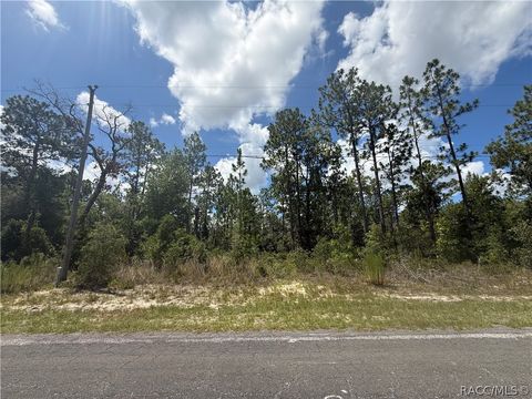 Vacant Land For Sale - 2812 W Edison Place<br/> Citrus Springs, FL 34433