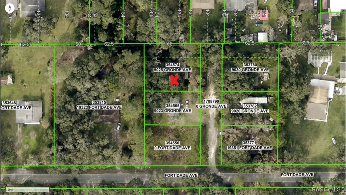 9025 Gronde Avenue, Brooksville, Florida image 6
