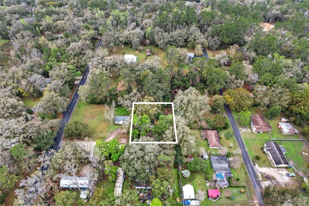 9025 Gronde Avenue, Brooksville, Florida image 7