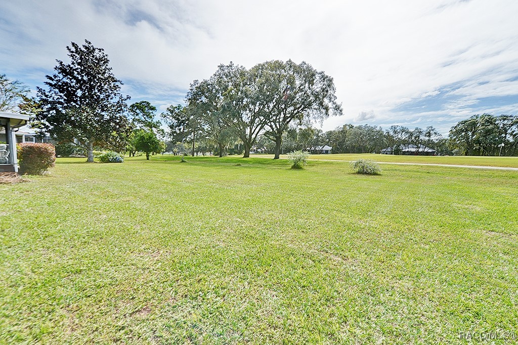 90 E Falconry Court, Hernando, Florida image 41