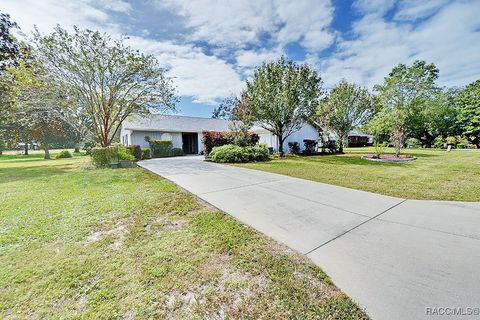 90 E Falconry Court Hernando FL 34442