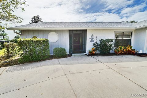 A home in Hernando