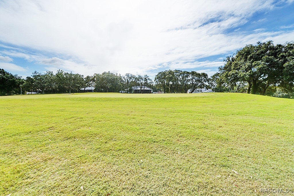 90 E Falconry Court, Hernando, Florida image 43