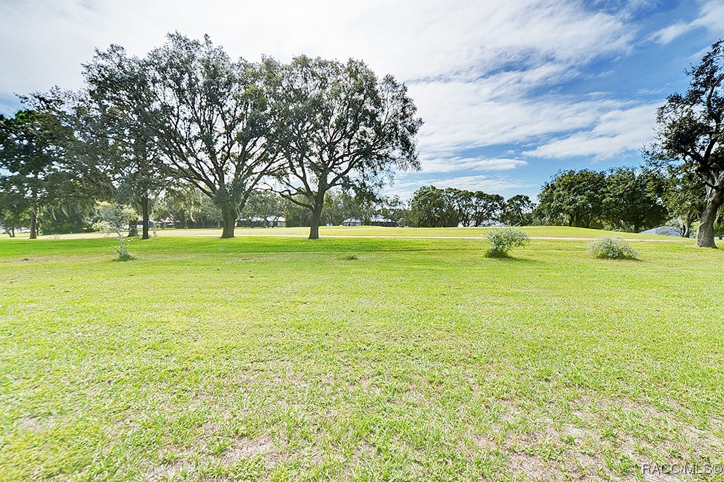 90 E Falconry Court, Hernando, Florida image 42