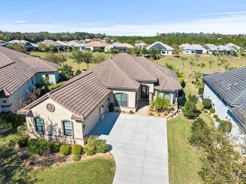 A home in Hernando