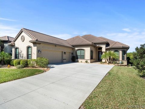 A home in Hernando