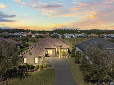 A home in Hernando