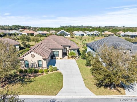 A home in Hernando