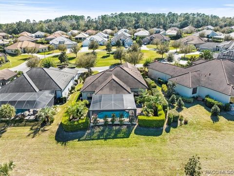 A home in Hernando