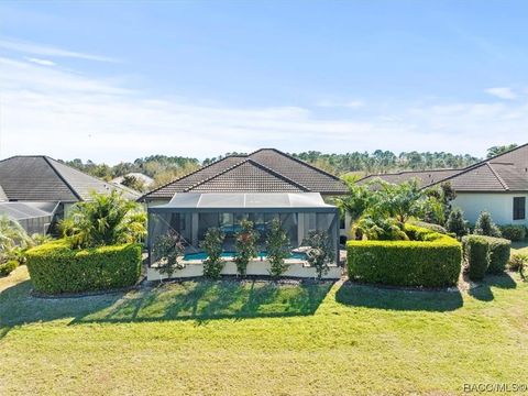 A home in Hernando