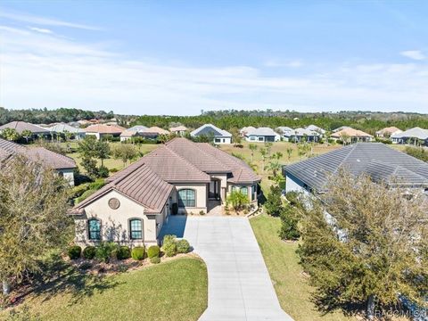 A home in Hernando