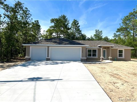 1585 W Kenmore Drive Dunnellon FL 34434