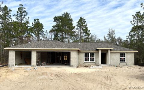 1585 W Kenmore Drive Dunnellon FL 34434