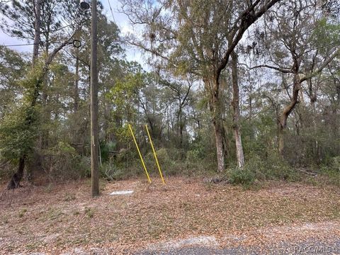 Vacant Land For Sale - 3523 E Lou Lane<br/> Inverness, FL 34442