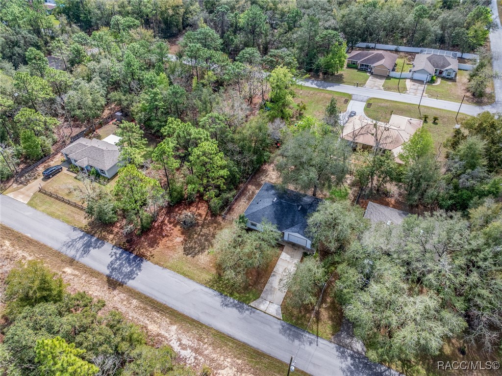 3032 E Murray Street, Inverness, Florida image 5