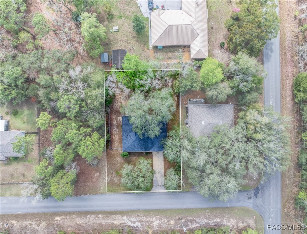 3032 E Murray Street, Inverness, Florida image 10
