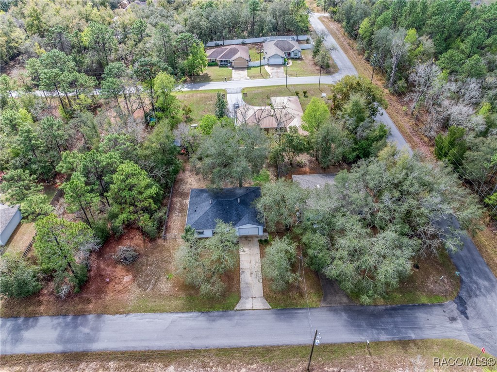 3032 E Murray Street, Inverness, Florida image 6