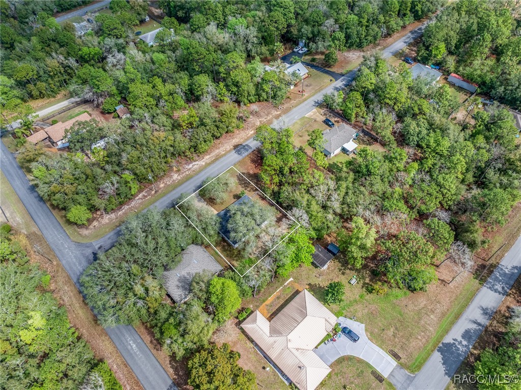 3032 E Murray Street, Inverness, Florida image 9
