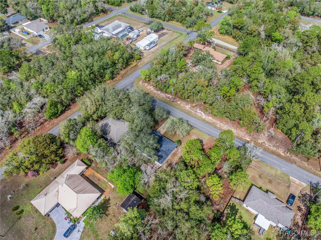 3032 E Murray Street, Inverness, Florida image 7