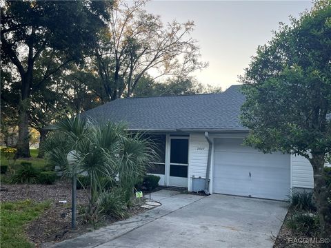 Homes For Sale - 2347 N Putnam Point<br/> Hernando, FL 34442
