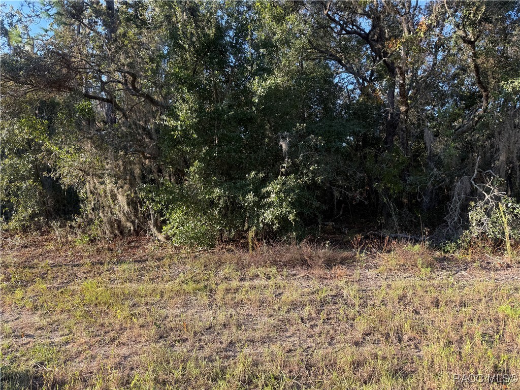 3238 N Sheriff Drive