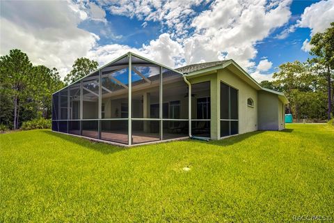 A home in Homosassa