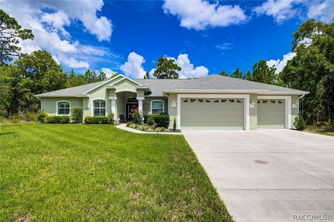 A home in Homosassa