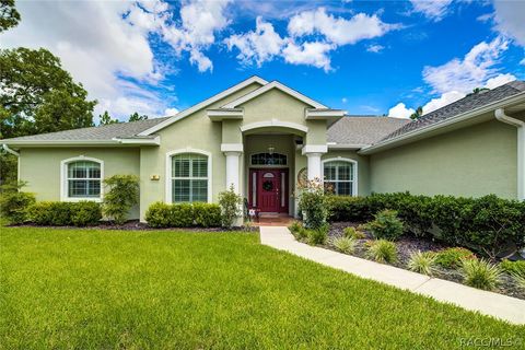 A home in Homosassa