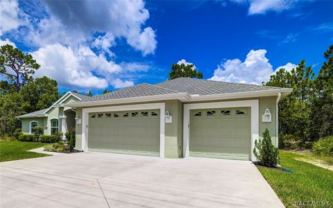 A home in Homosassa