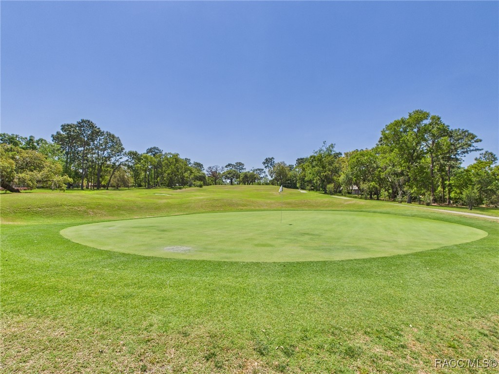 3944 N Pine Valley Loop, Lecanto, Florida image 17
