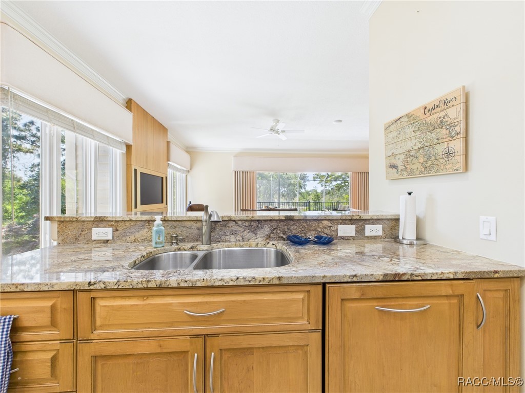 3944 N Pine Valley Loop, Lecanto, Florida image 28