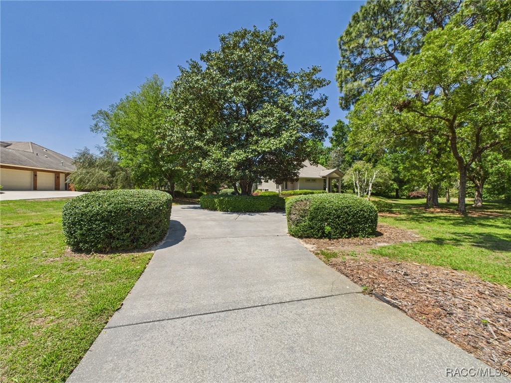 3944 N Pine Valley Loop, Lecanto, Florida image 9