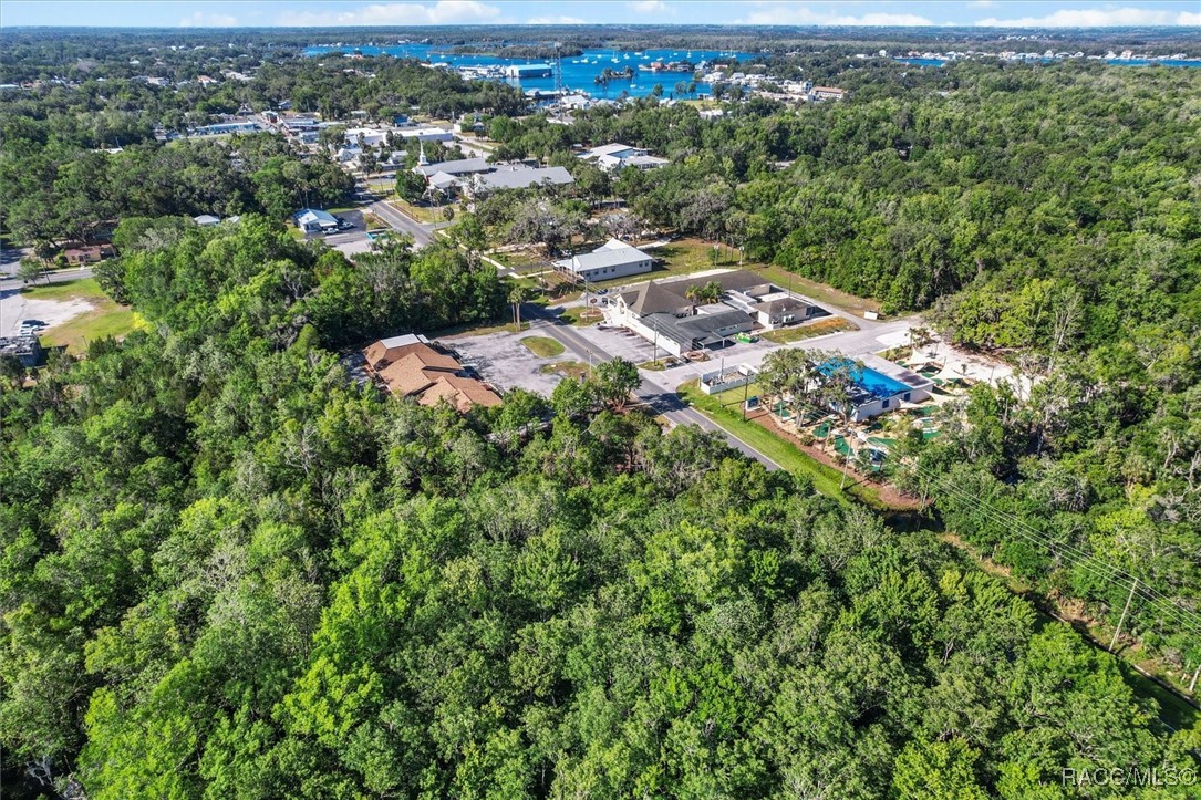 1051 N Citrus Avenue, Crystal River, New York image 5