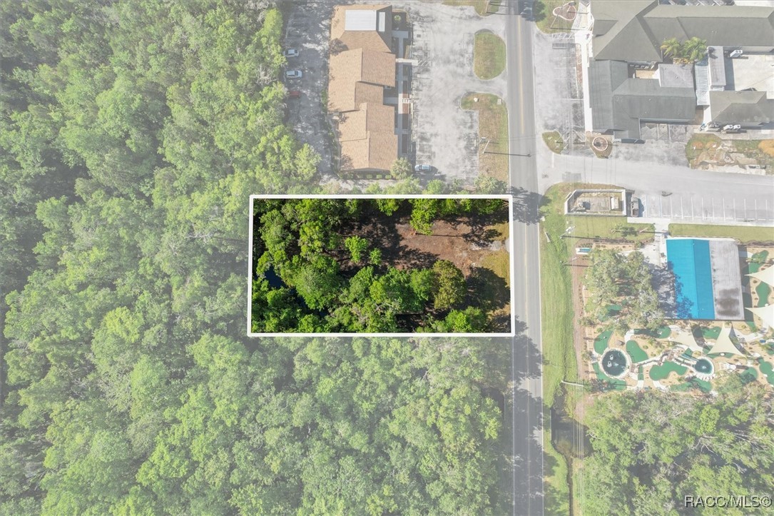 1051 N Citrus Avenue, Crystal River, New York image 3