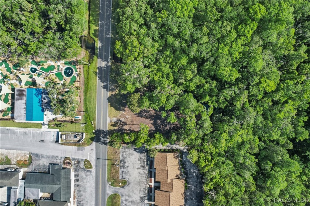 1051 N Citrus Avenue, Crystal River, New York image 13