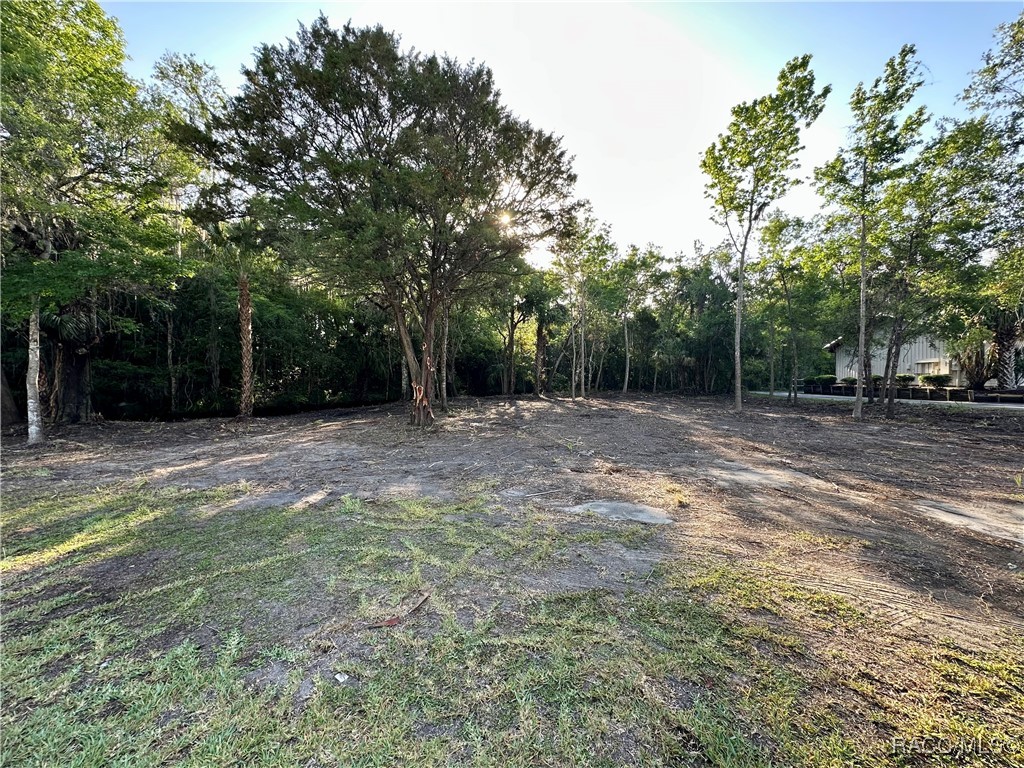 1051 N Citrus Avenue, Crystal River, New York image 17