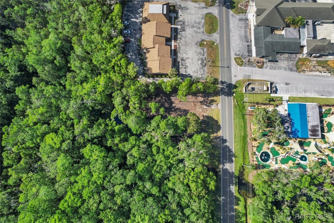 1051 N Citrus Avenue, Crystal River, New York image 15