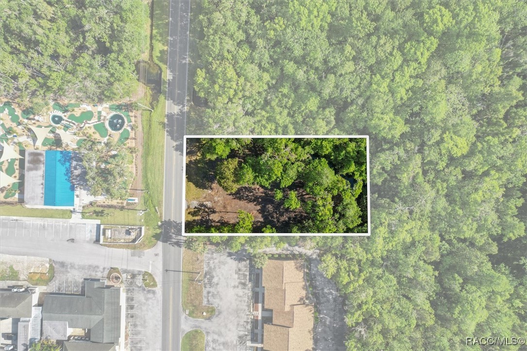 1051 N Citrus Avenue, Crystal River, New York image 4