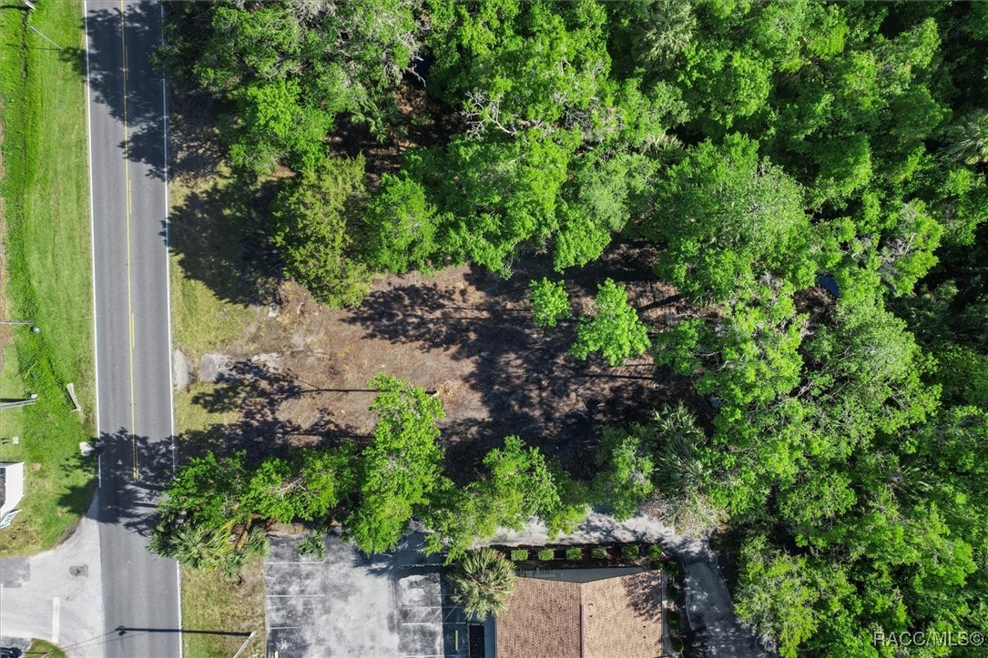 1051 N Citrus Avenue, Crystal River, New York image 9