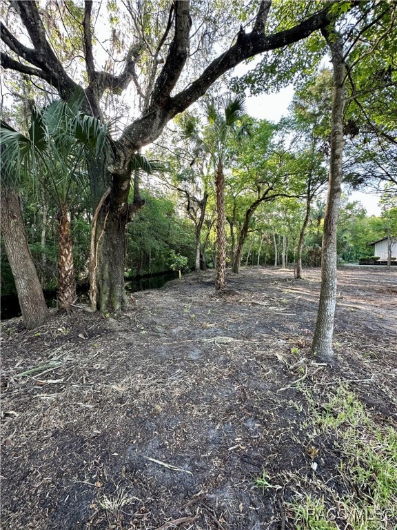 1051 N Citrus Avenue, Crystal River, New York image 18