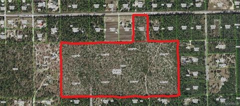 5656 W Dunklin Street Dunnellon FL 34433