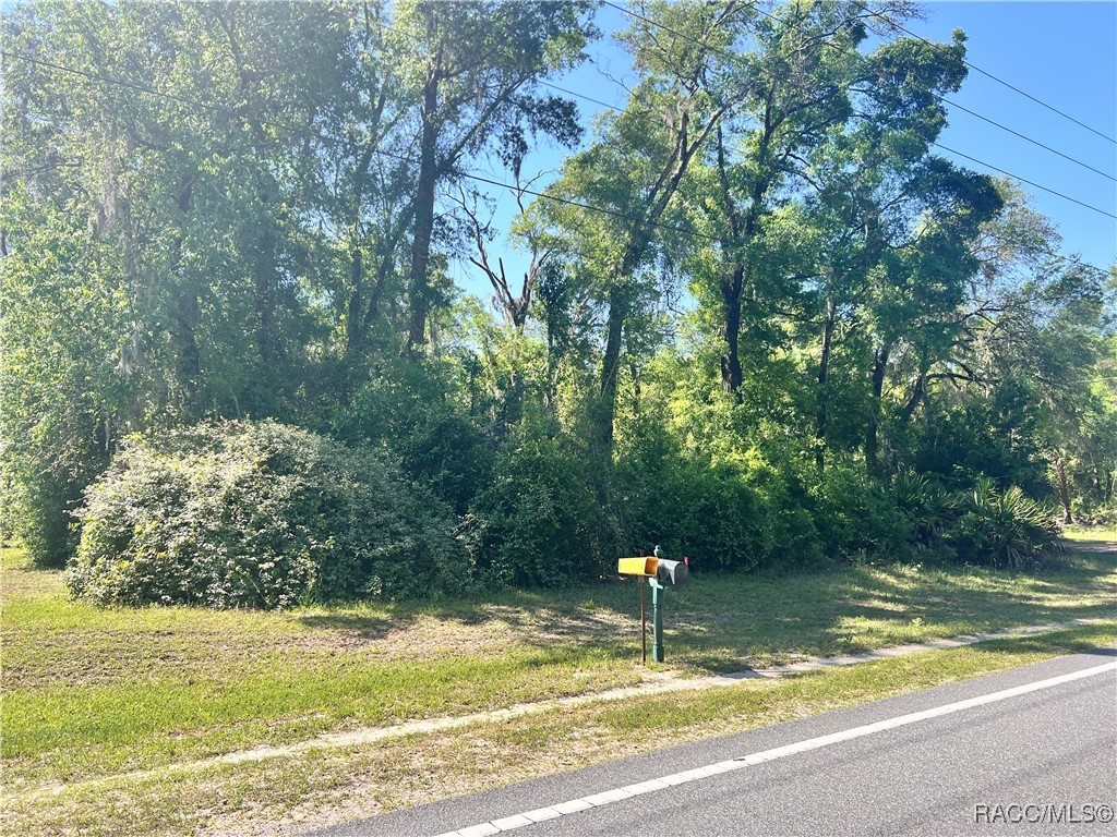 9781 W Pomelo Lane, Crystal River, Florida image 6