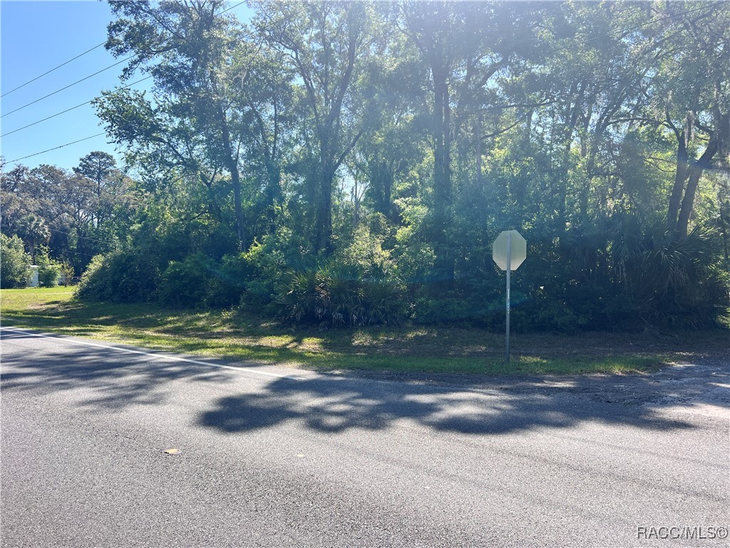 9781 W Pomelo Lane, Crystal River, Florida image 3