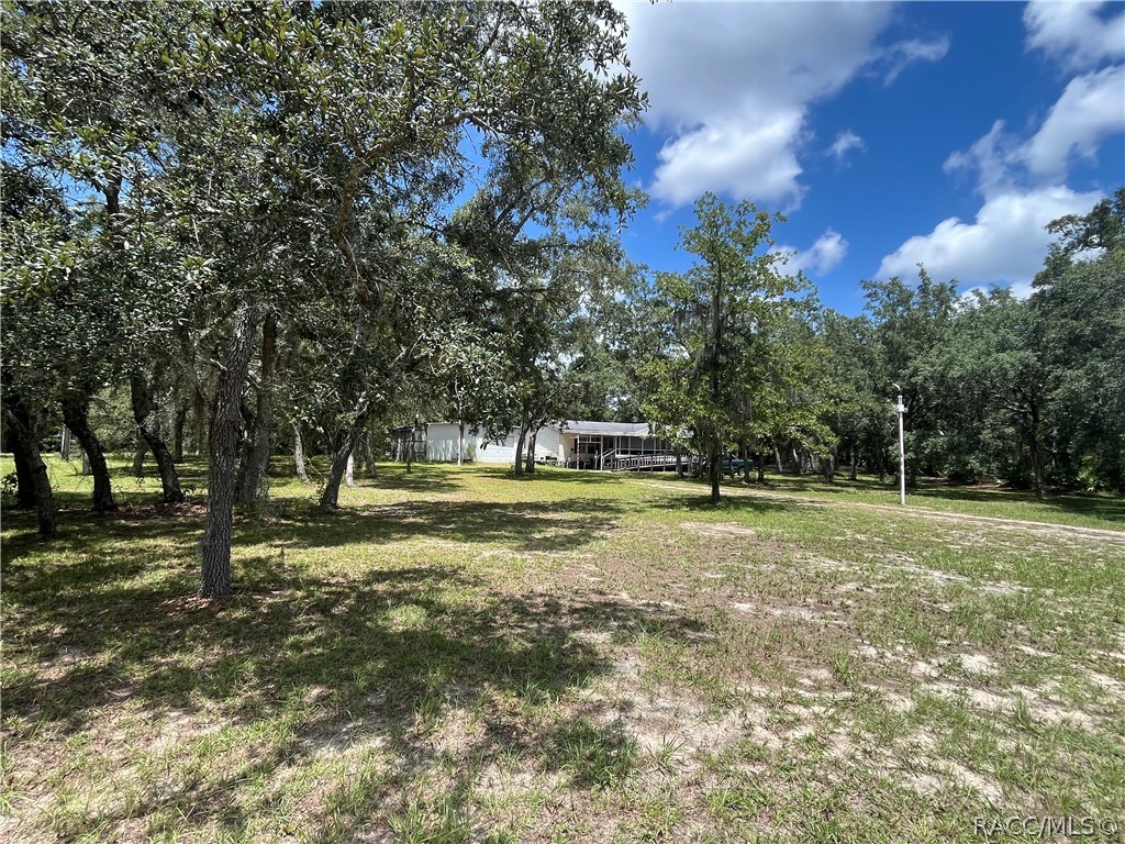 6178 S Gross Avenue, Homosassa, New York image 6
