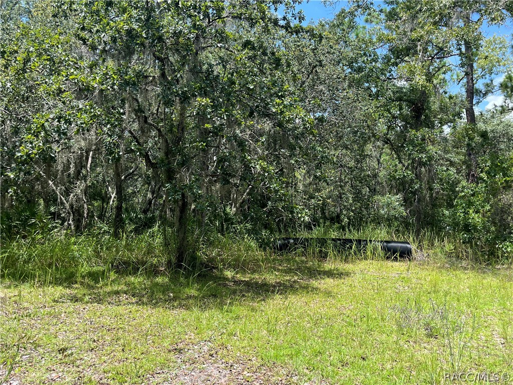 6178 S Gross Avenue, Homosassa, New York image 35