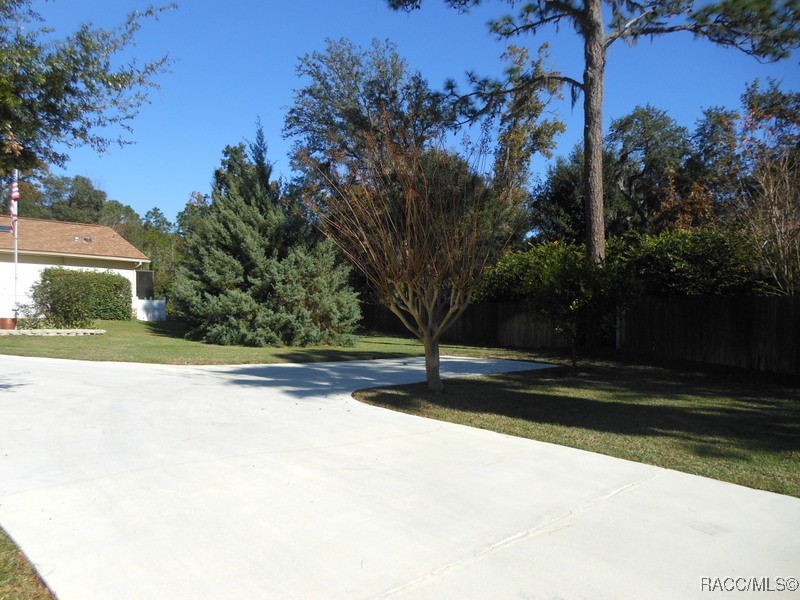 439 E Reehill Street