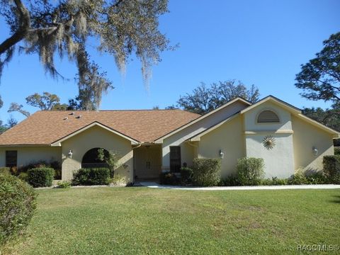 439 E Reehill Street Lecanto FL 34461